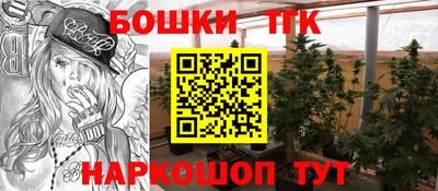 прущие крисы Заводоуковск