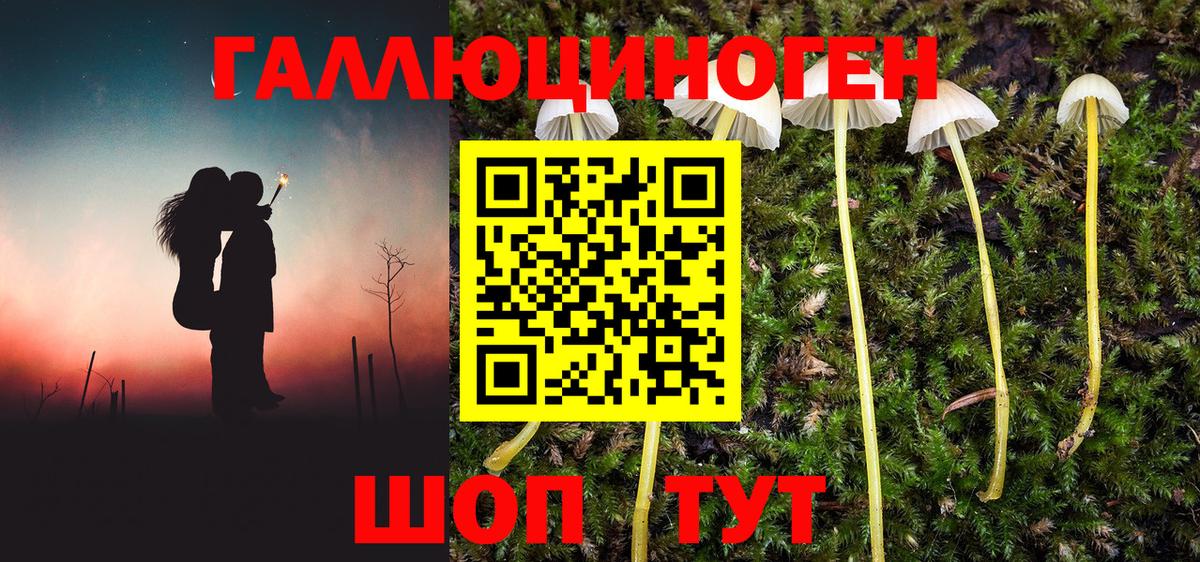 Краснотурьинск  Псилоцибиновые грибы прущие грибы  Вход с VPN 